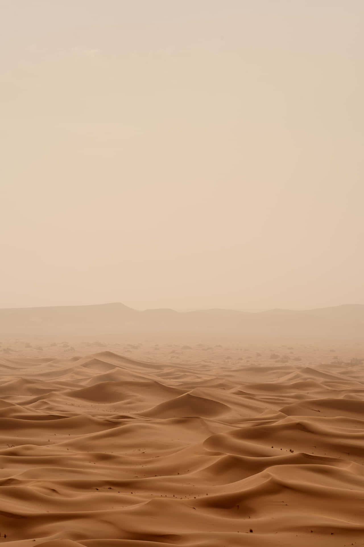 Desert Sand Dense Fog Background