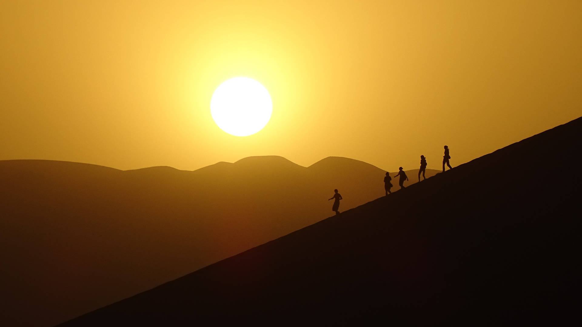 Desert Sun Visitors Background