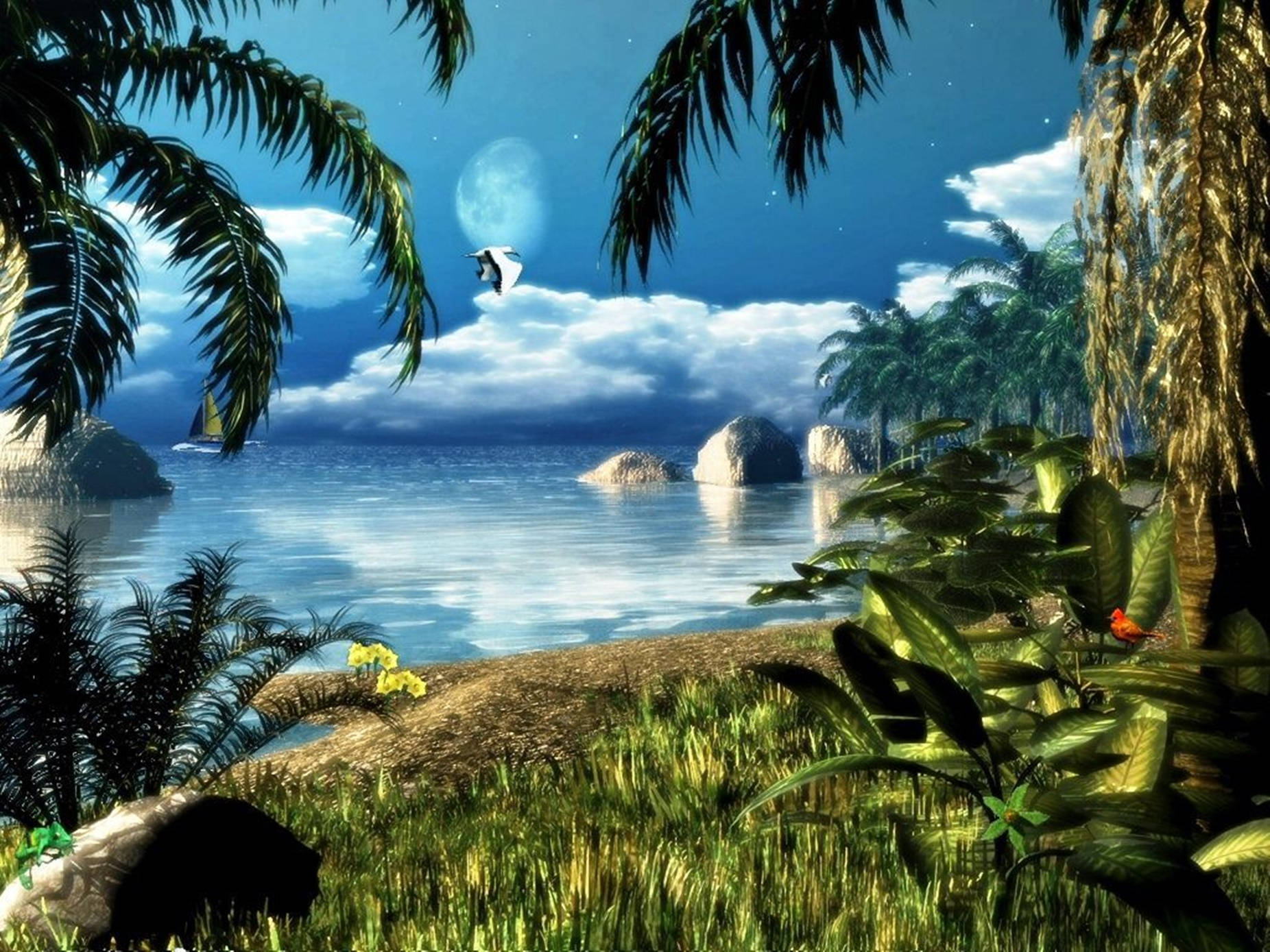 Deserted Island 3d Animation Background