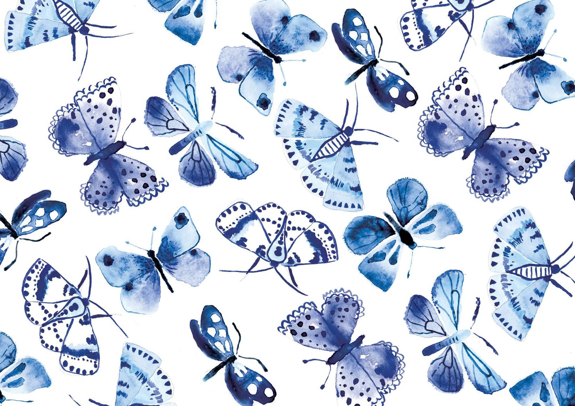Design Of Blue Butterfly Aesthetic