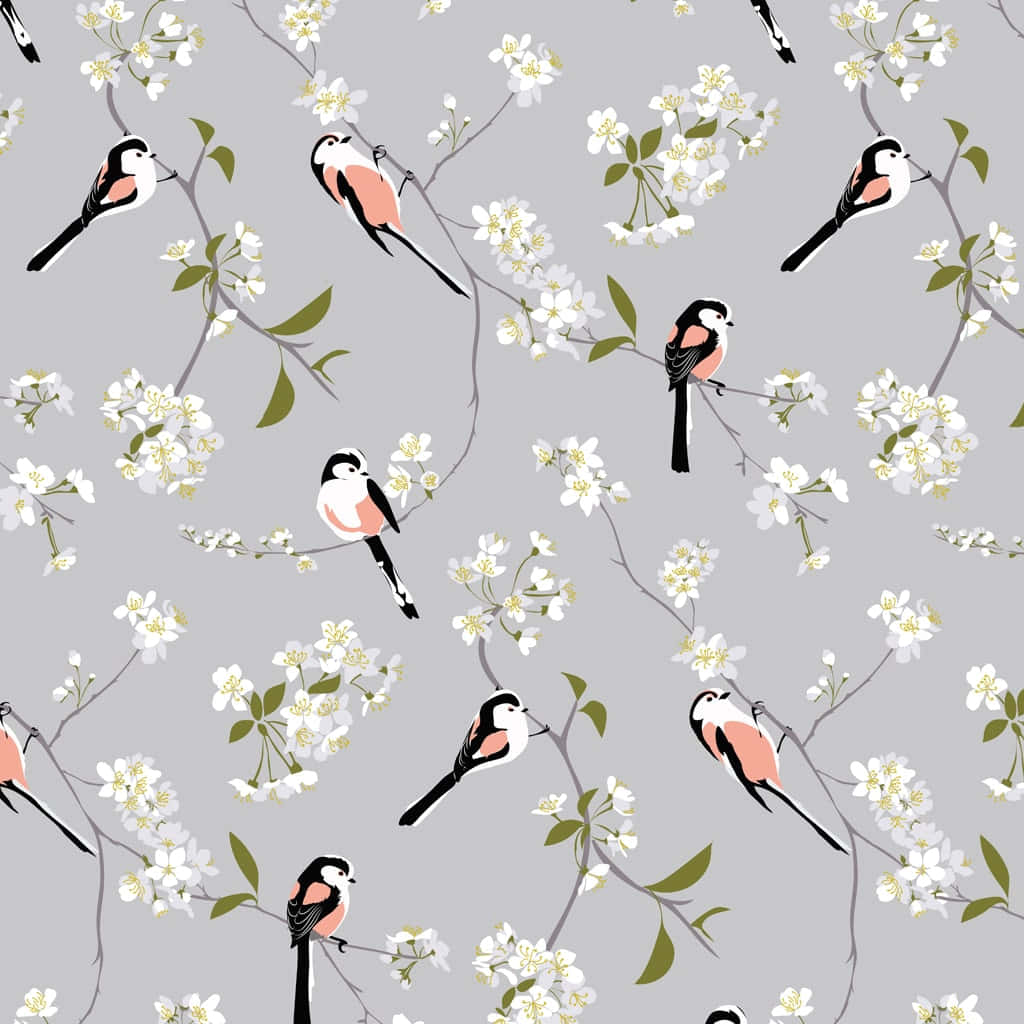 Designer Blossom And Bird Background