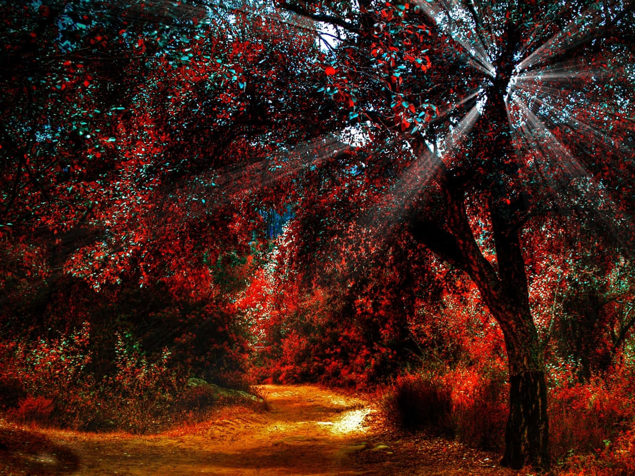 Desktop Wallpaper Perfect For Celebrating Autumn Background