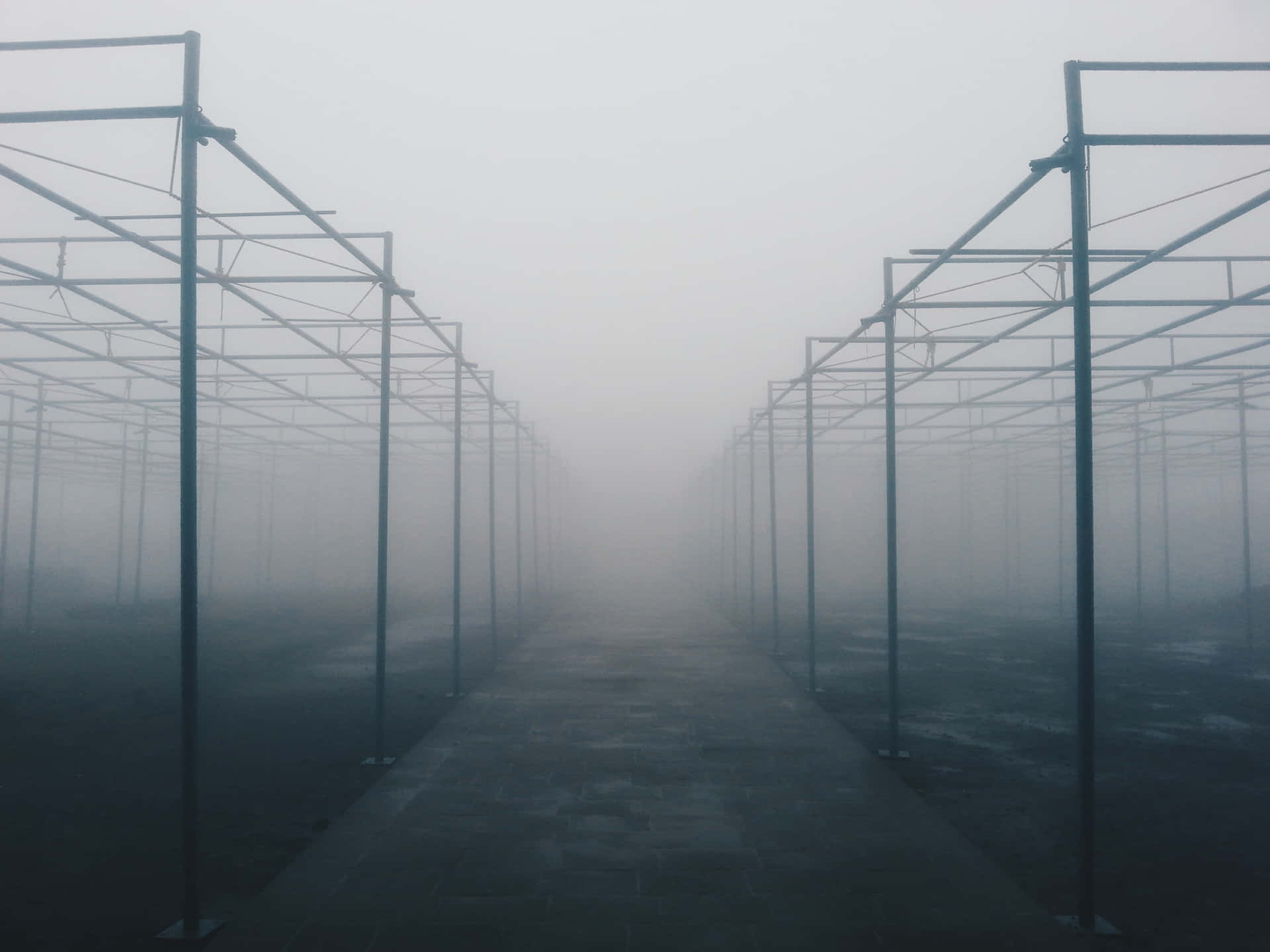 Desolate Plantation Factory