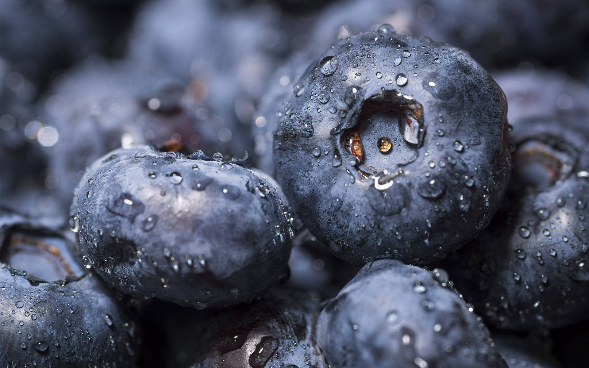 Destemmed Blueberries Close-up Background