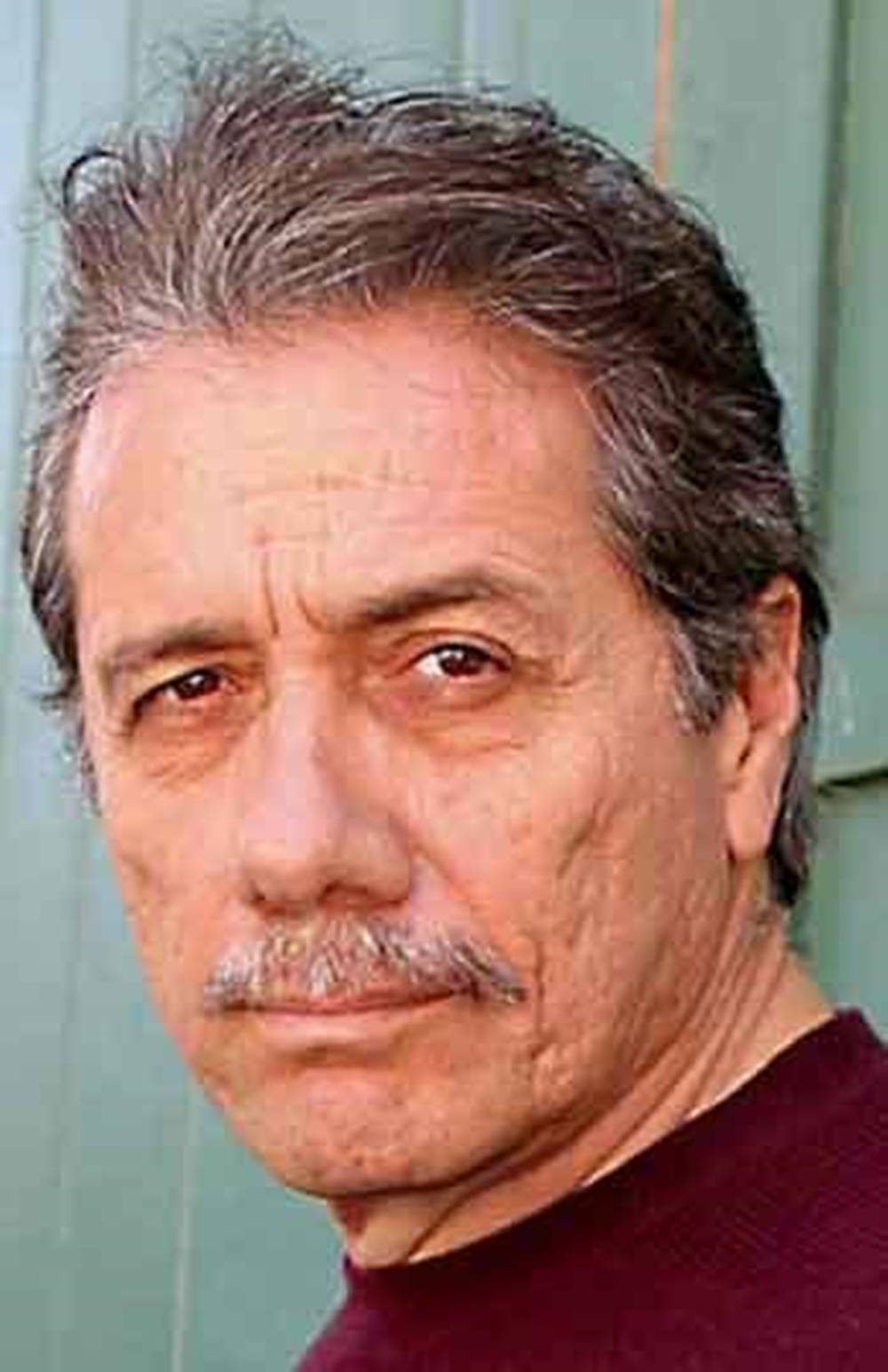 Detailed Edward James Olmos