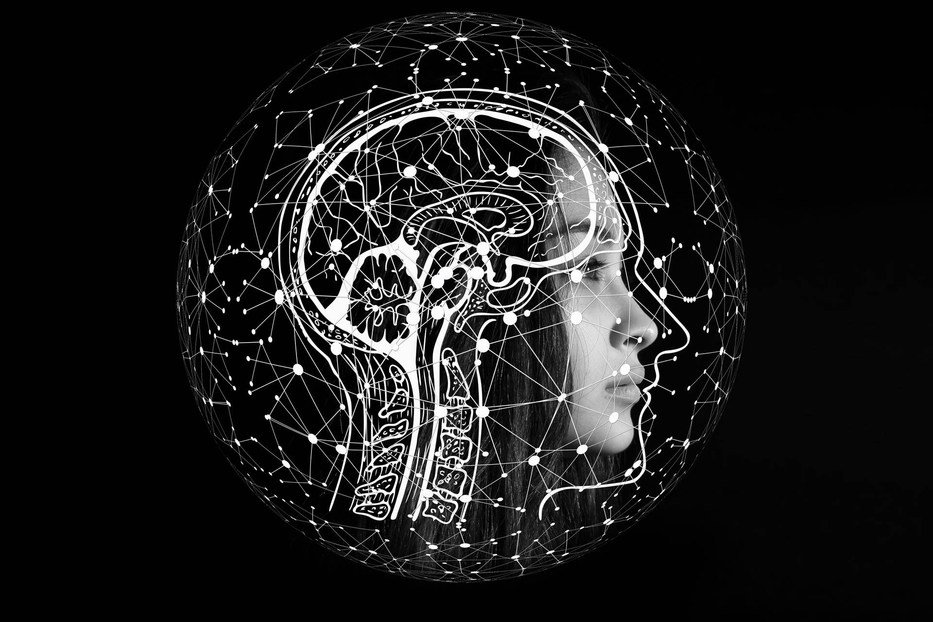 Detailed Illustration Of The Human Brain, Side View