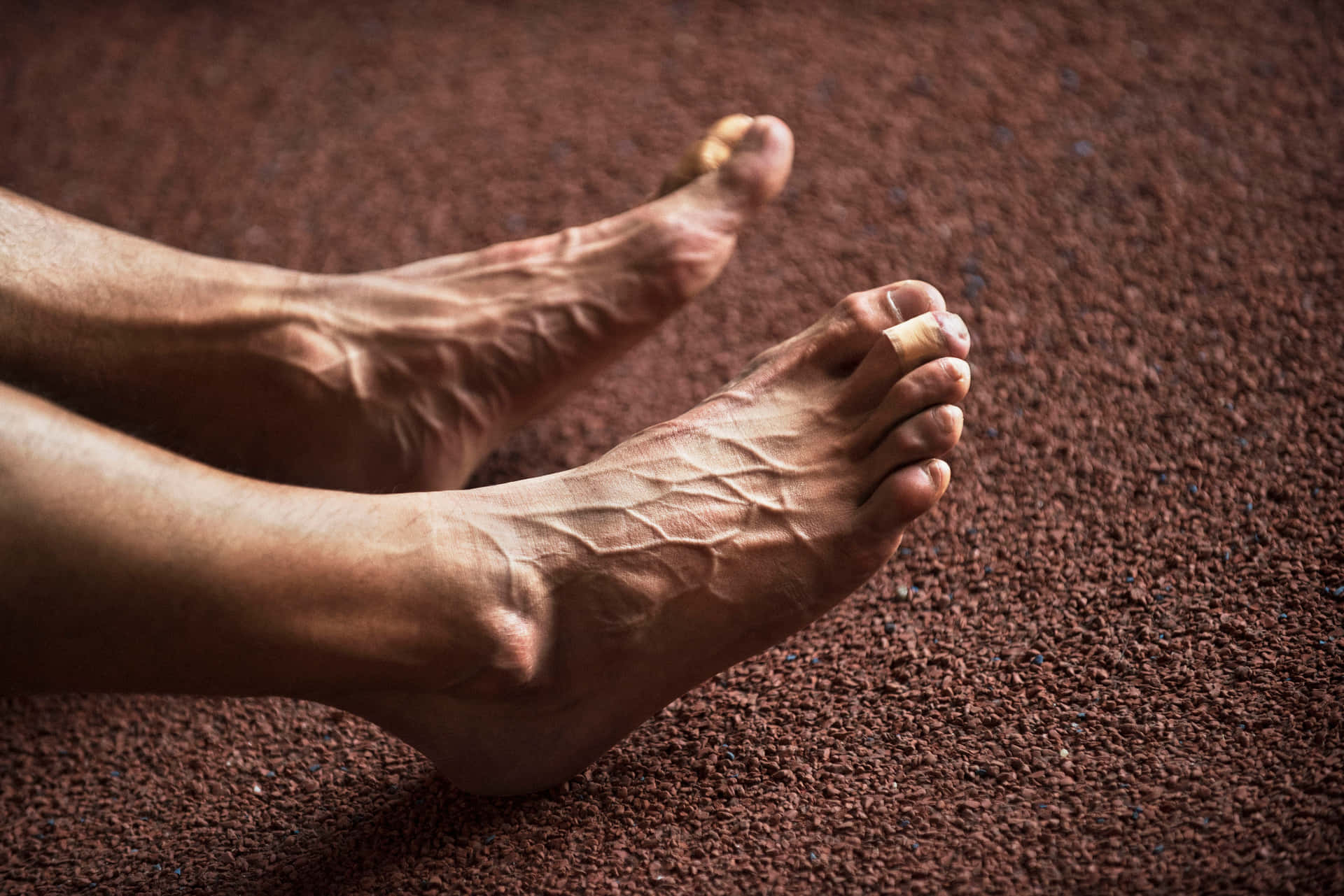 Detailed View Of Male Feet With Prominent Veins