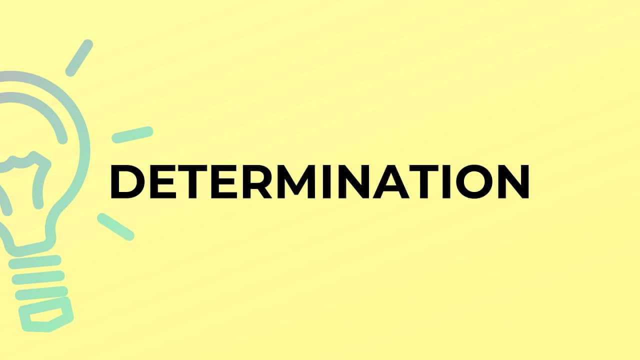 Determination Inspiration Lightbulb