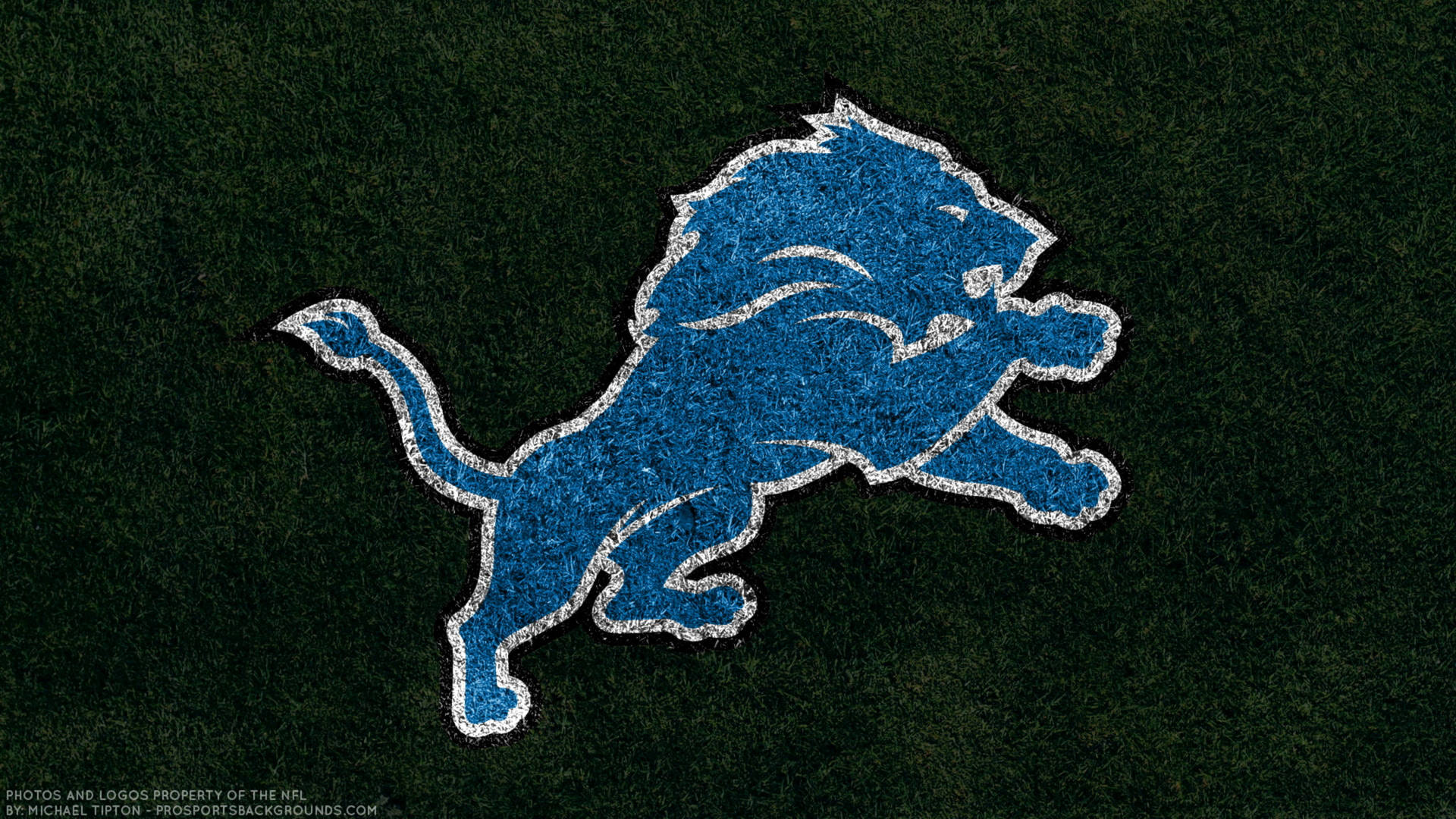 Detroit Lions Grass Painted Logo Background