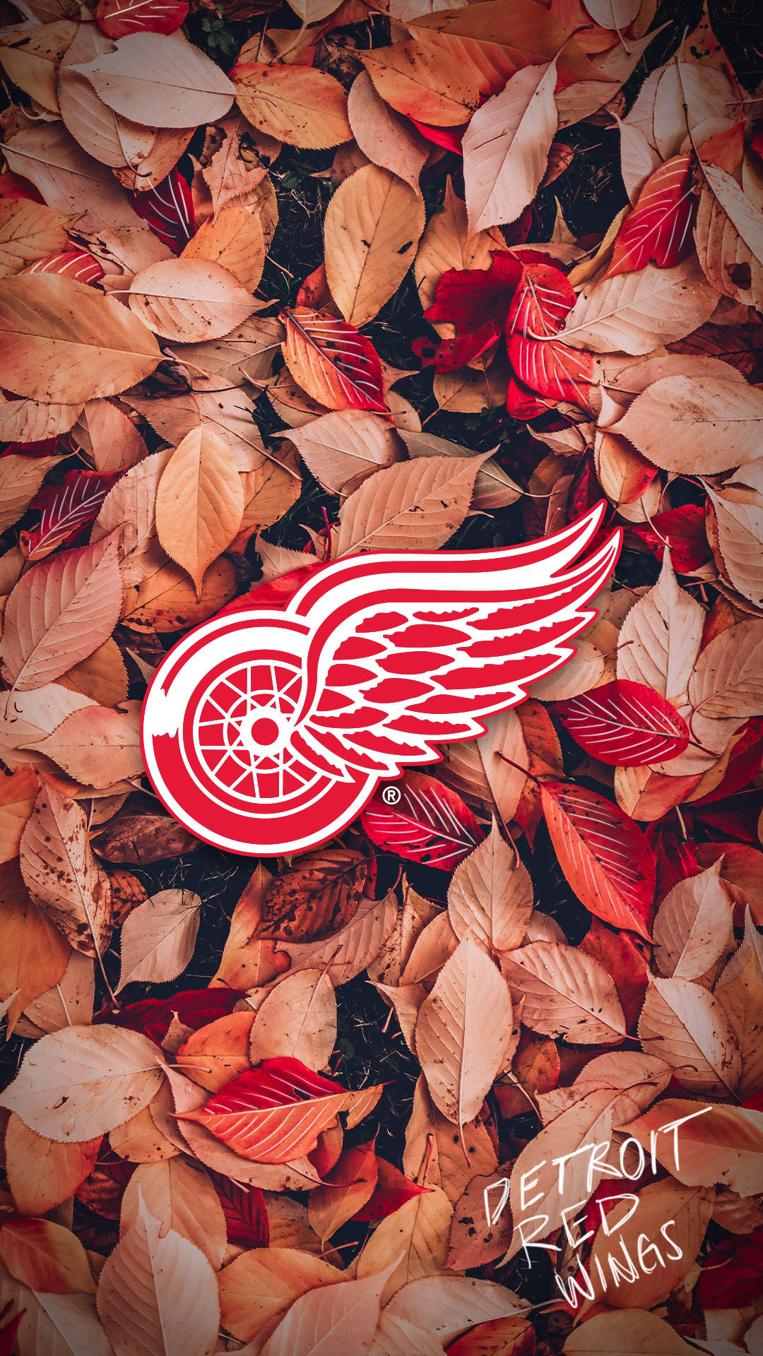 Detroit Red Wings Autumn