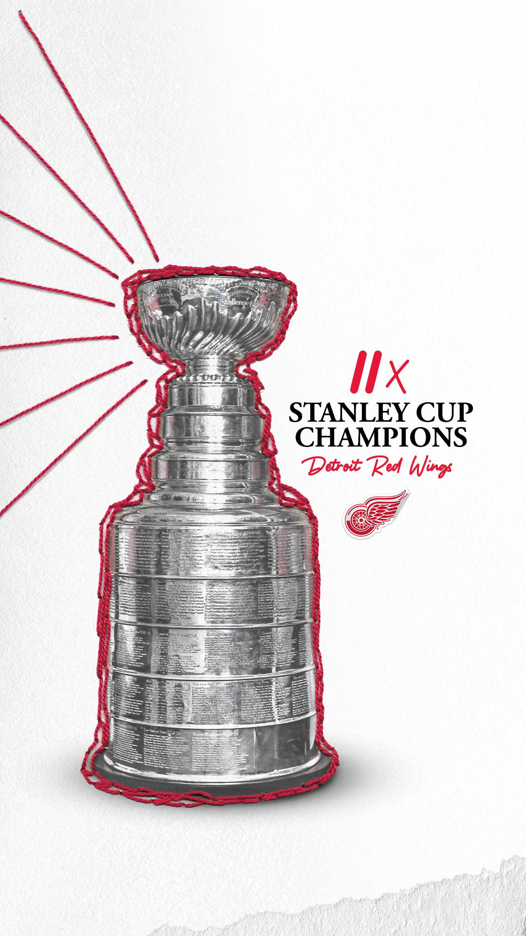 Detroit Red Wings Stanley Cup Champs