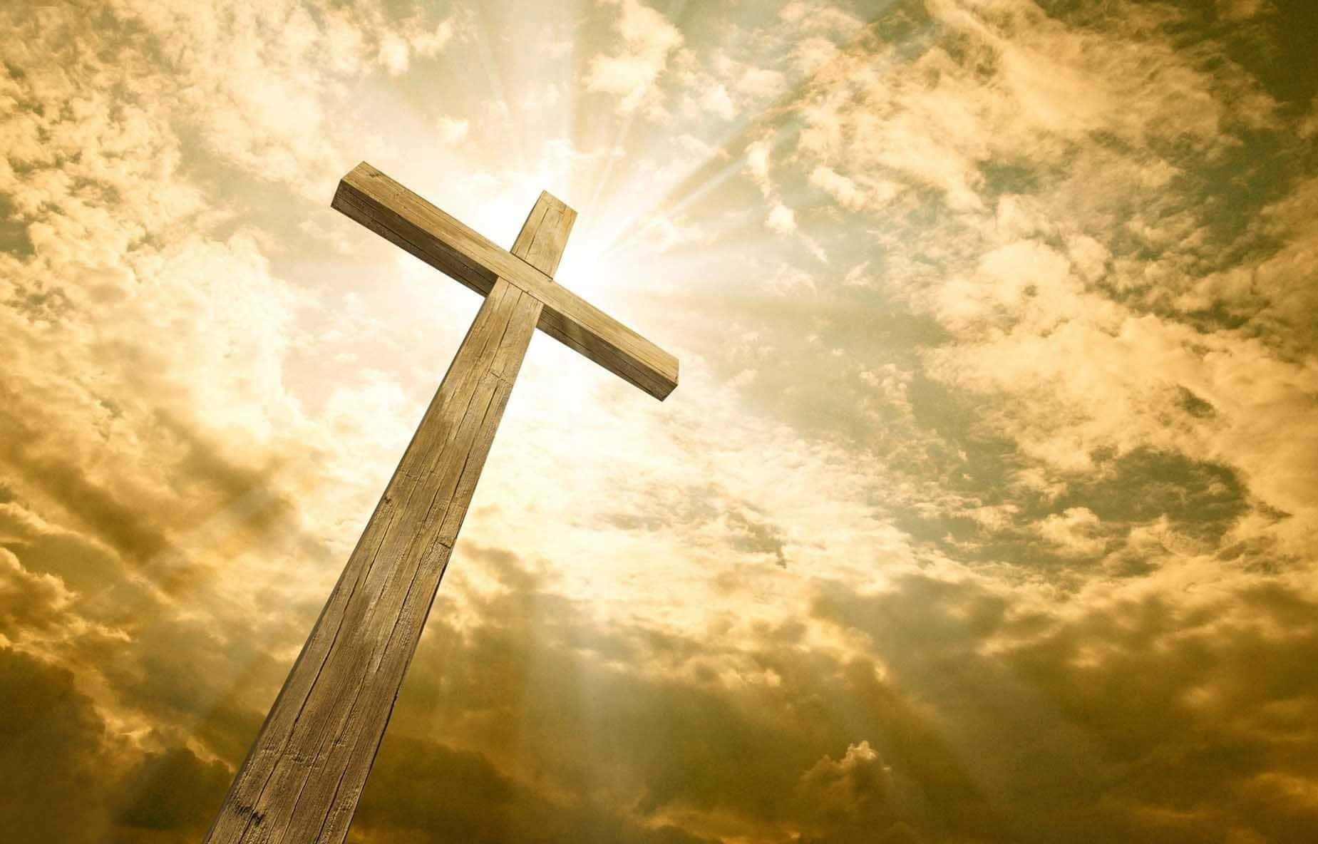 Devout Christian Praying In Nature Background