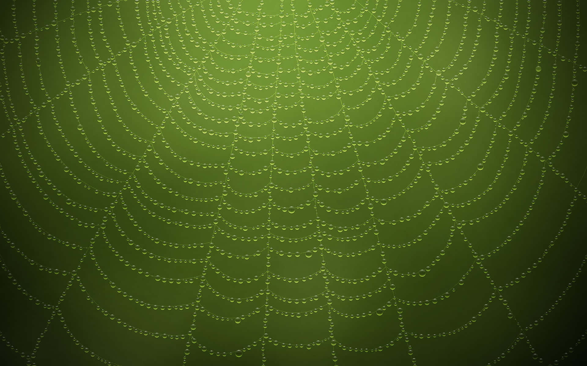 Dewy Spider Web Green Background