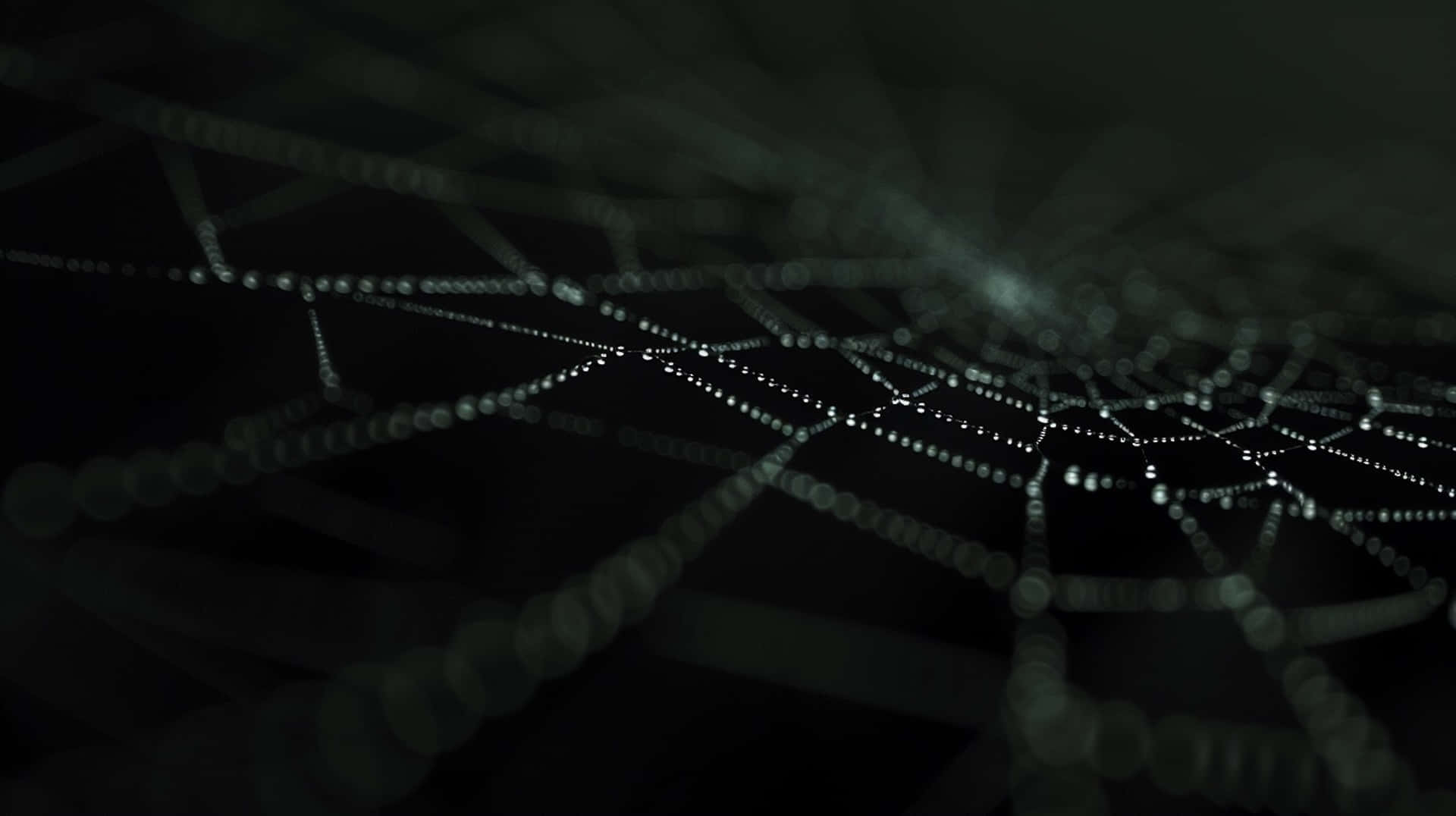 Dewy Spider Web Nighttime Background
