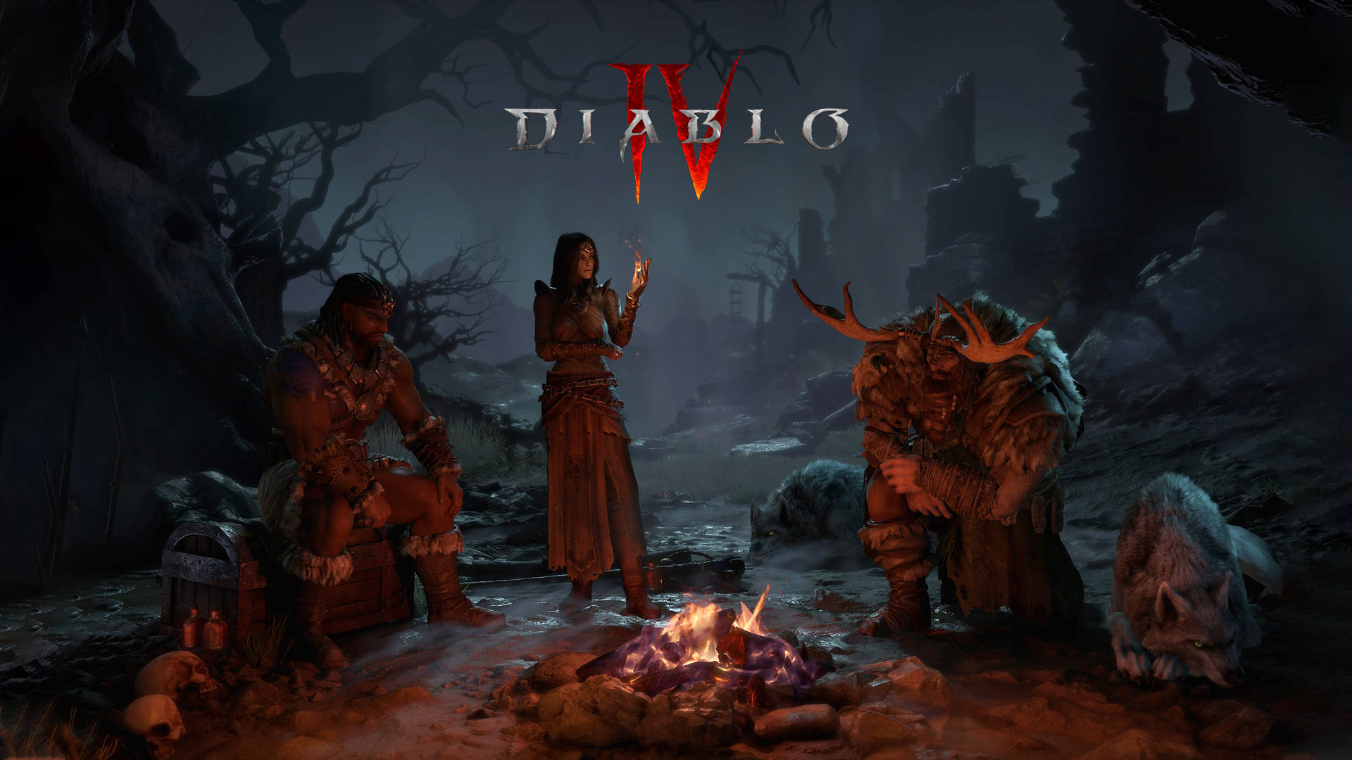 Diablo 4 Campfire In Forest Background