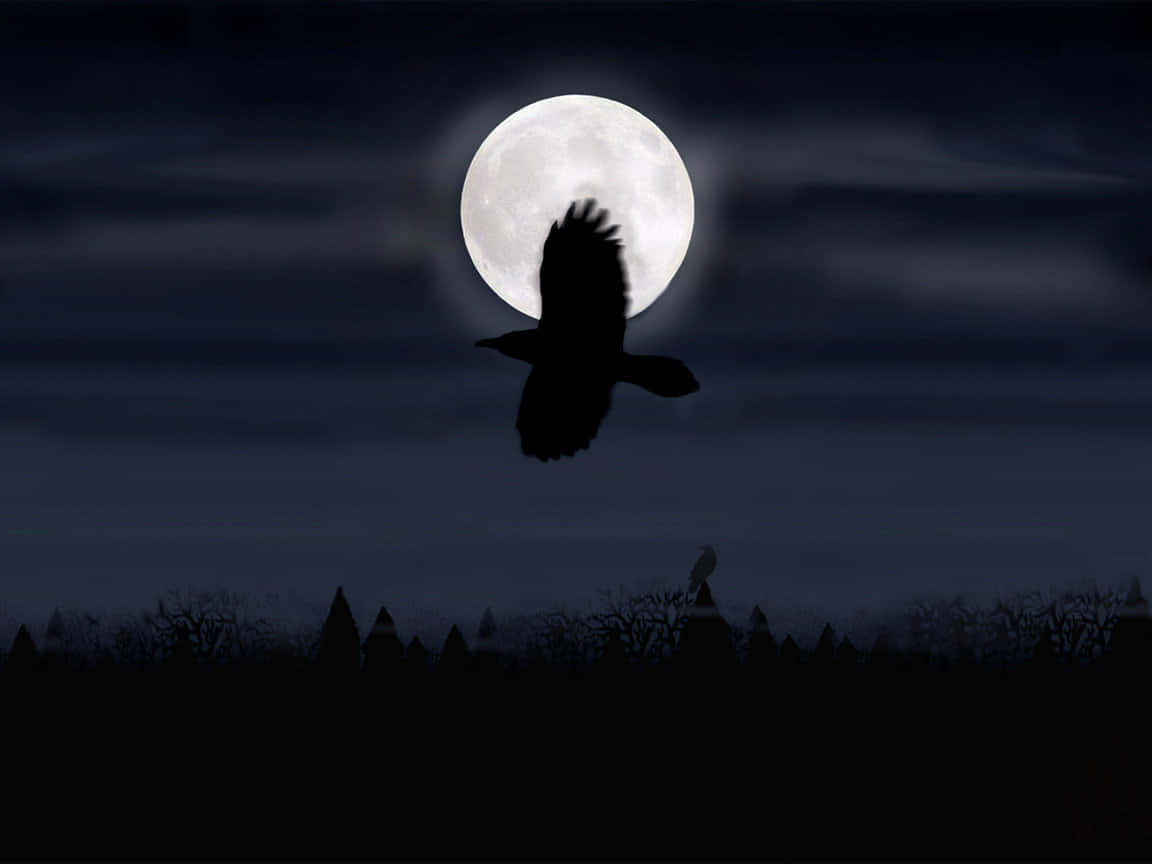 Diabolical Black Bird [wallpaper] Background