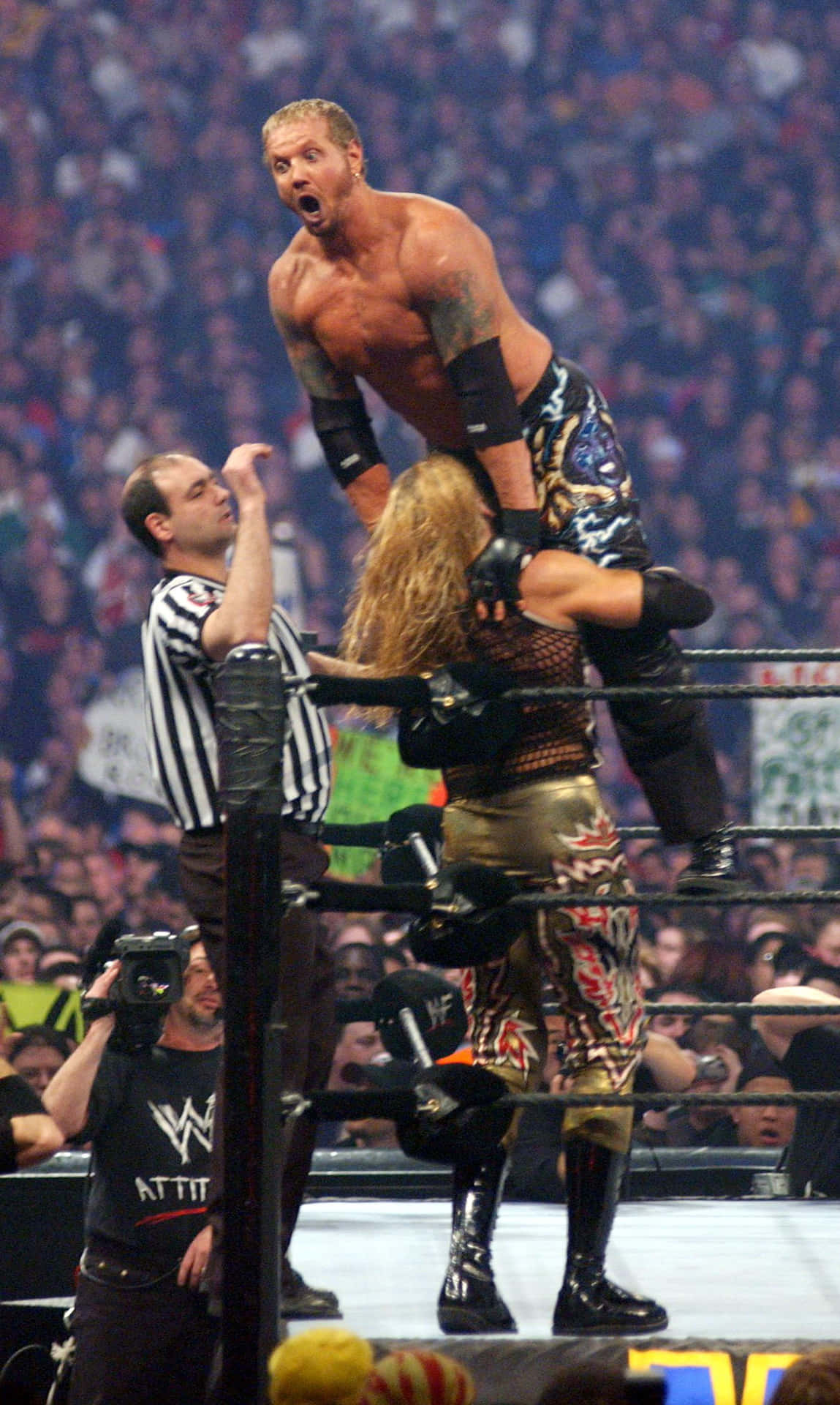 Diamond Dallas Page Wrestle Mania Background