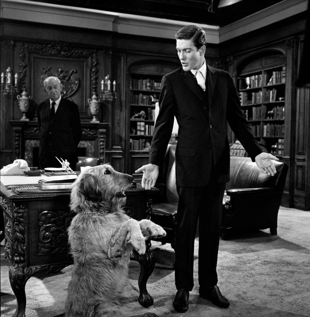 Dick Van Dyke Teaching A Dog Background