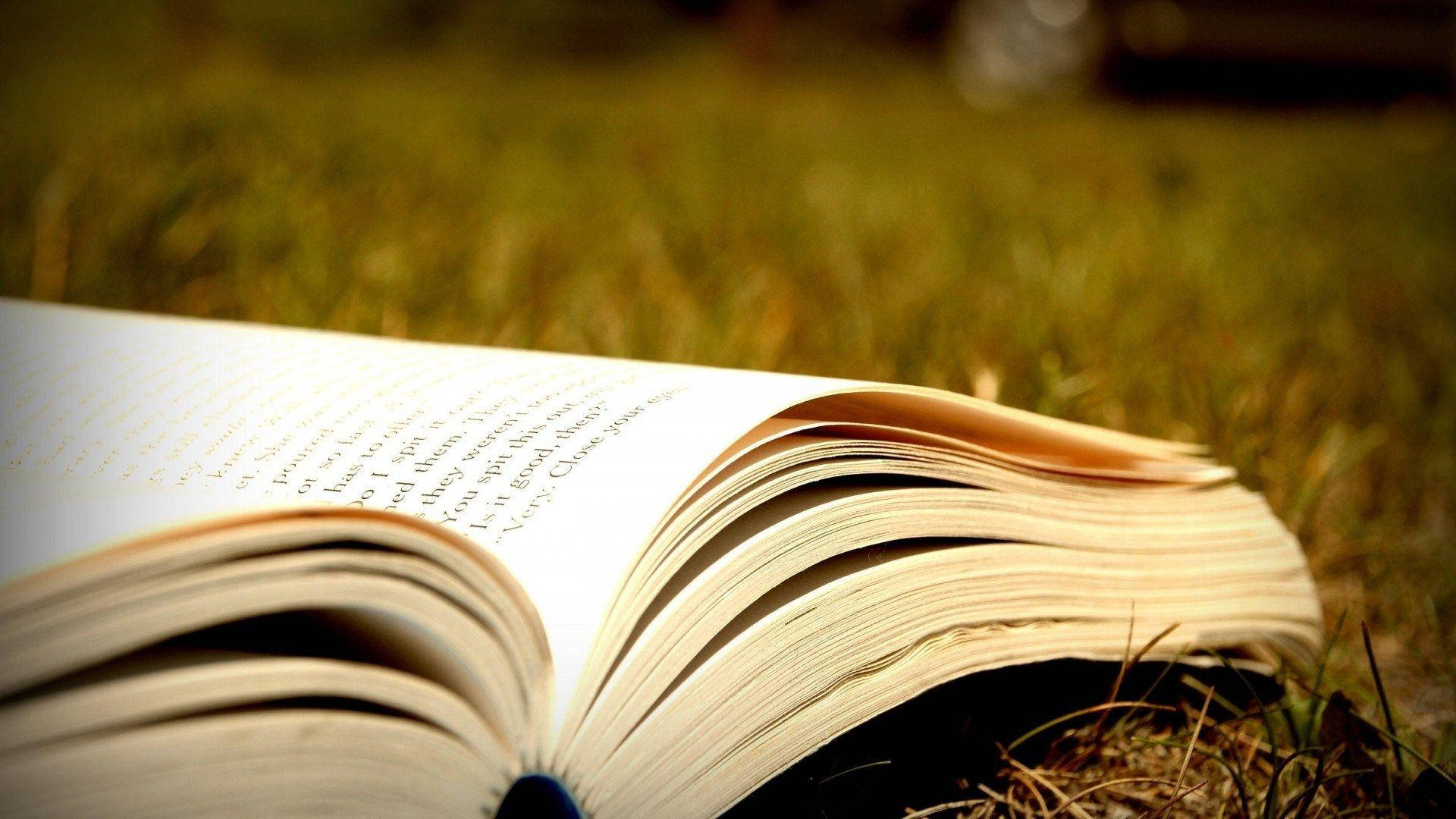 Dictionary Book In Grass Background
