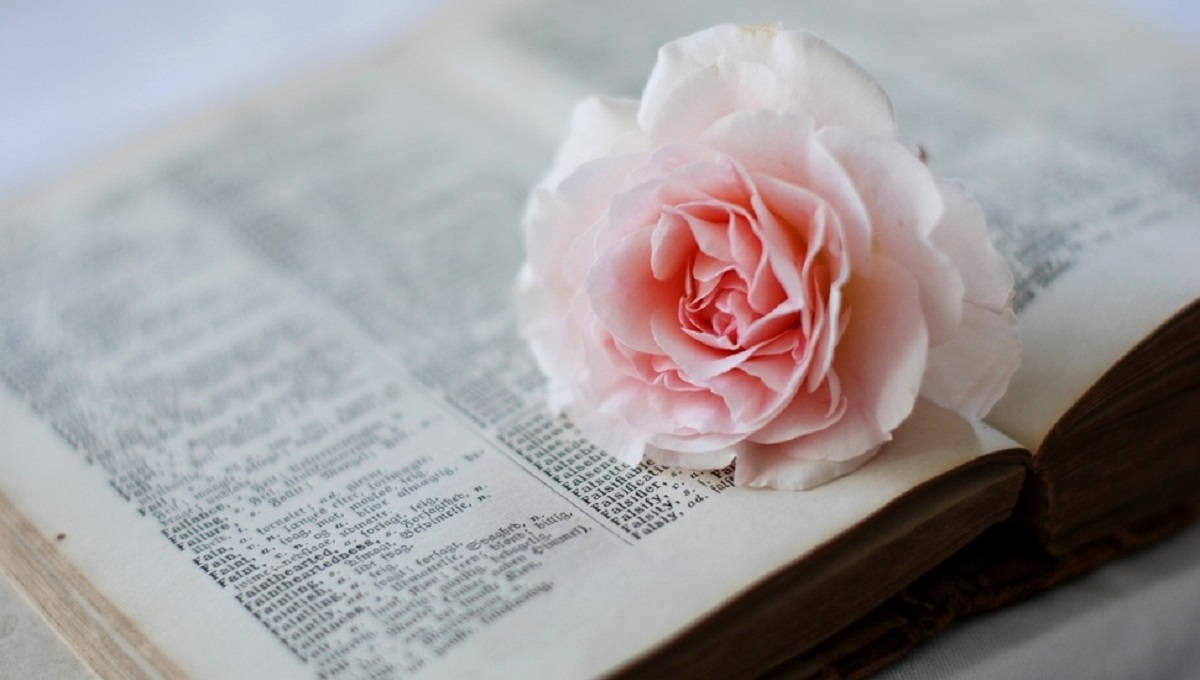 Dictionary Book With Pink Flower Background