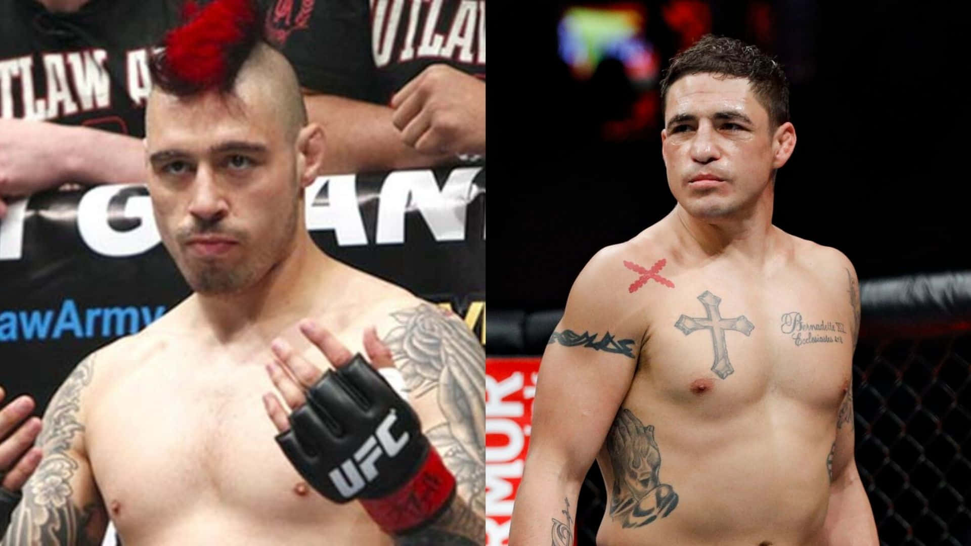 Diego Sanchez And Dan Hardy Background