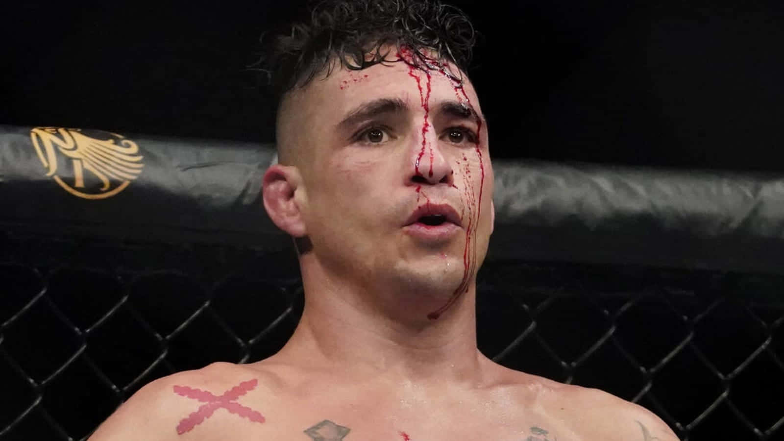 Diego Sanchez Bloody Poster Background