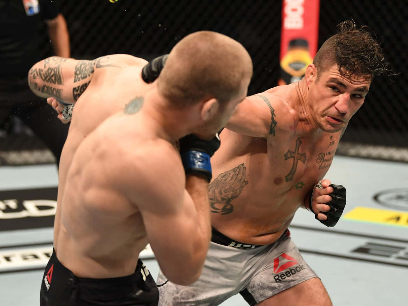 Diego Sanchez Fighting Jake Matthews Background