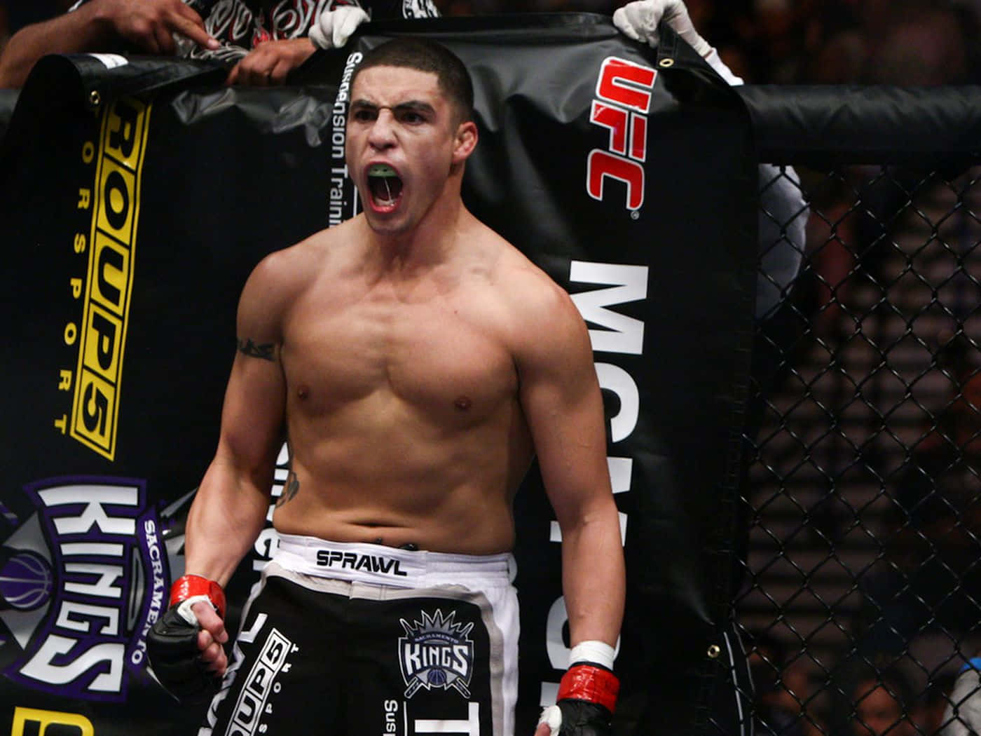 Diego Sanchez Poster Fighter Background