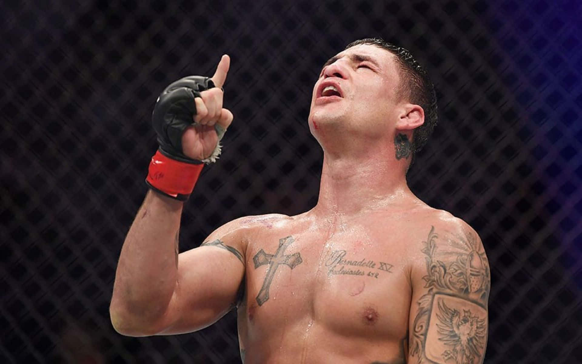 Diego Sanchez Professional Fighter Background