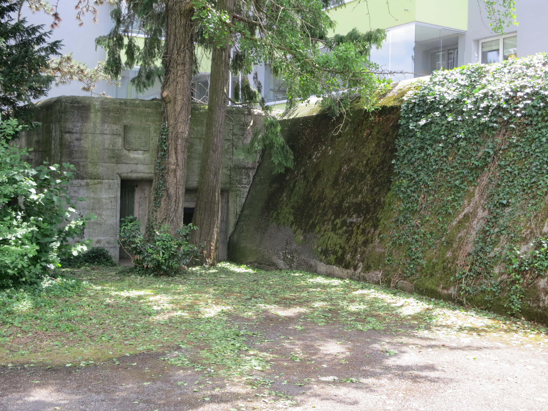 Dietikon Bunker Hiddenin Greenery Background