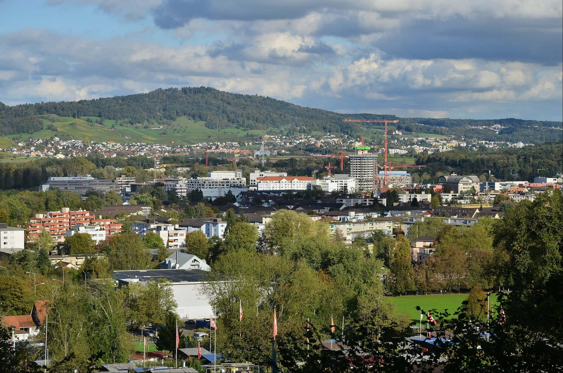 Dietikon Cityscapeand Nature Background