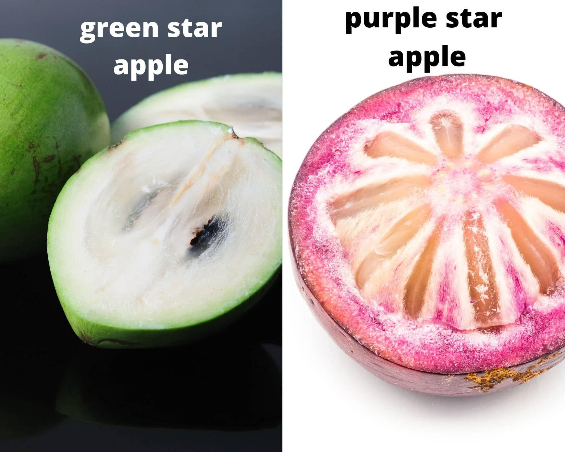 Different Colors Of Star Apple