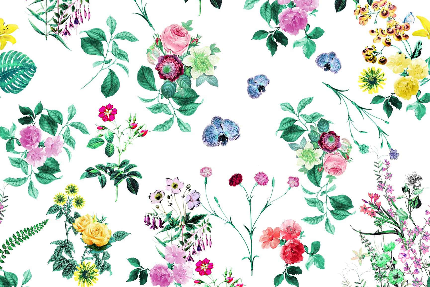 Different Flowers With Leaves Cute Floral Background