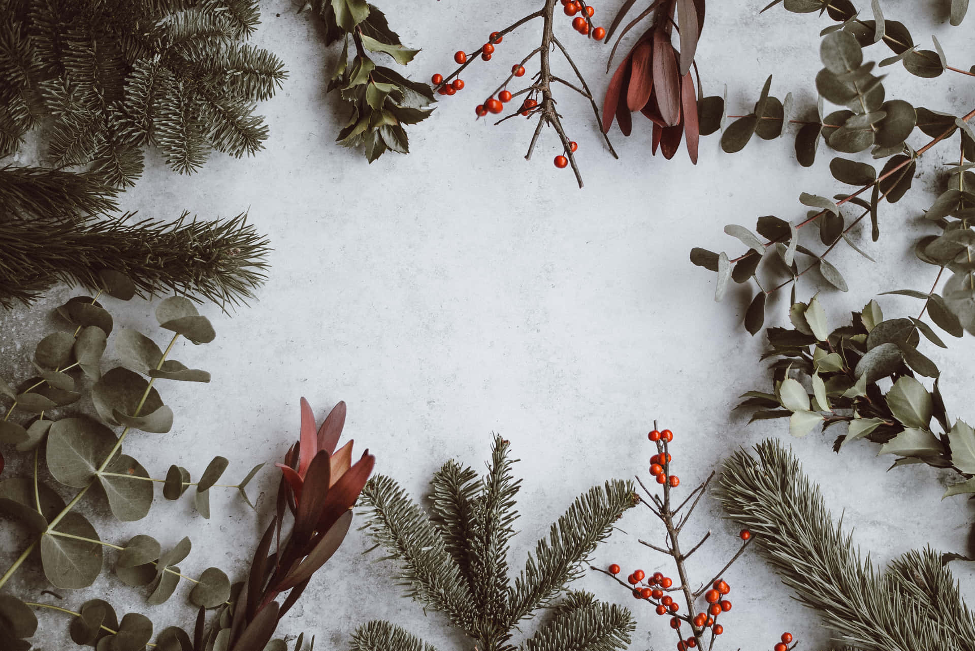 Different Leaves Christmas Mac Aesthetic Background