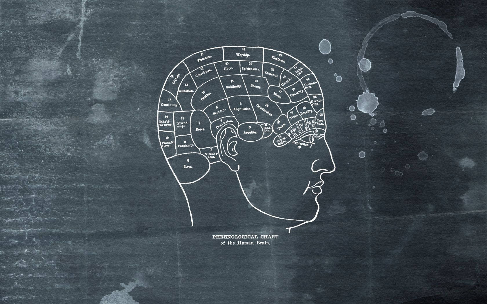 Different Parts Of Cerebral Cortex Background