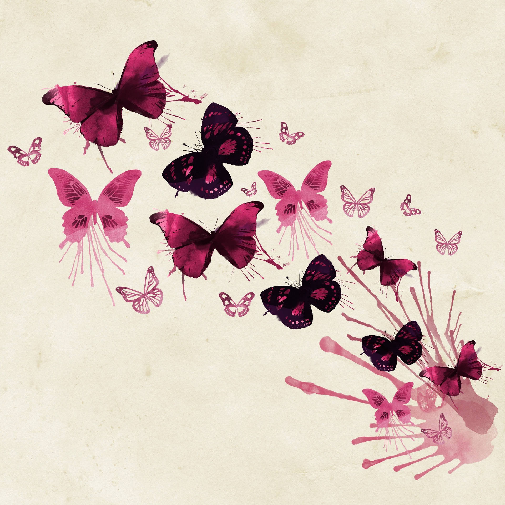 Different Shades Of Cute Pink Butterfly Background