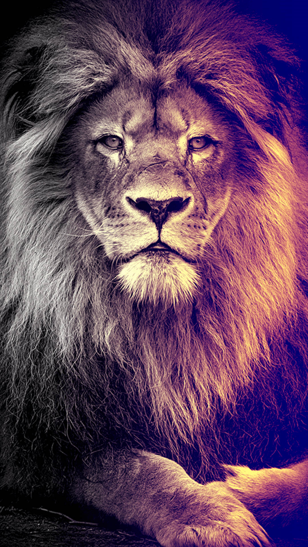 Digital Art Lion Iphone Background