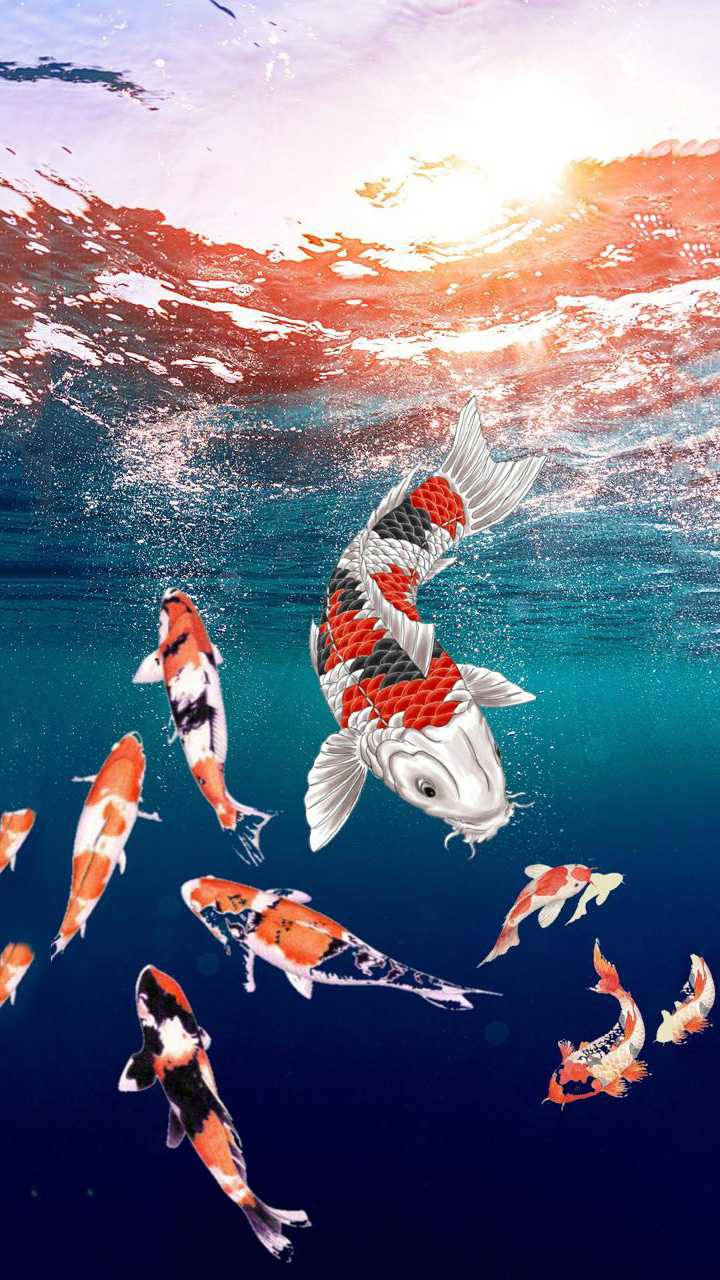 Digital Art Of Koi Fish Iphone Background