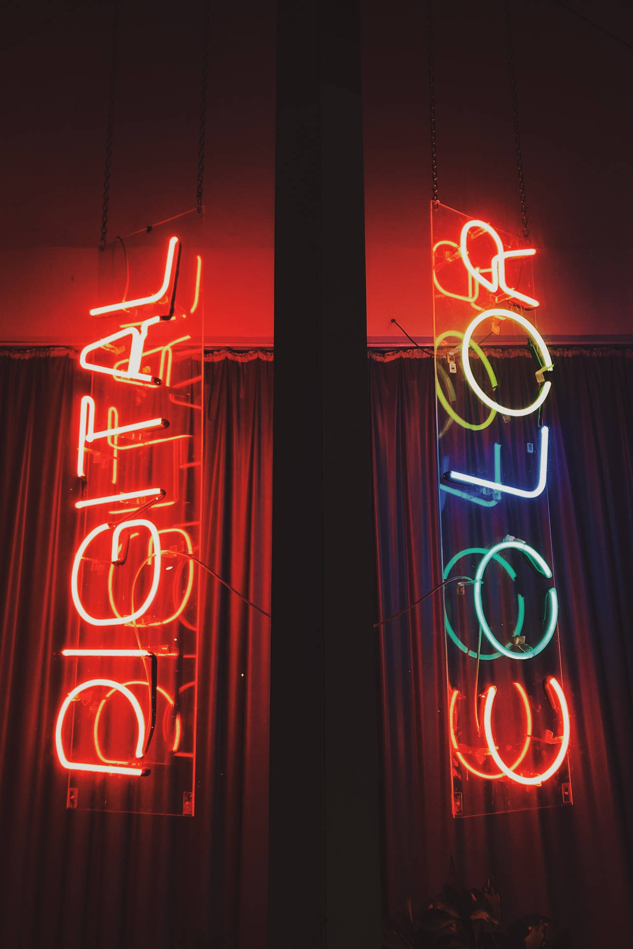 Digital Color Neon Sign