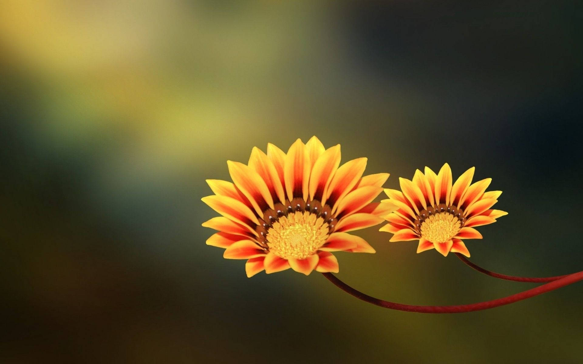 Digital Illustration Of Macro Flower Background