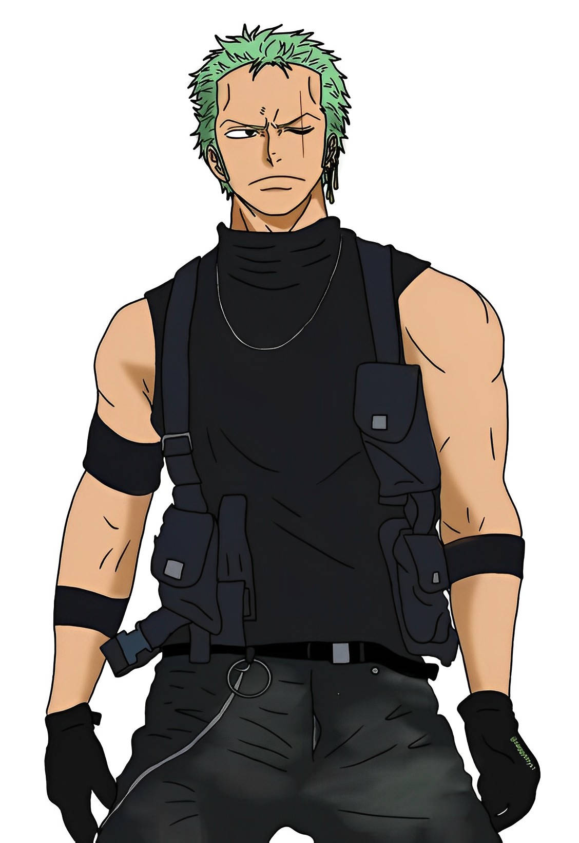 Digital Illustration Roronoa Zoro Pfp Background