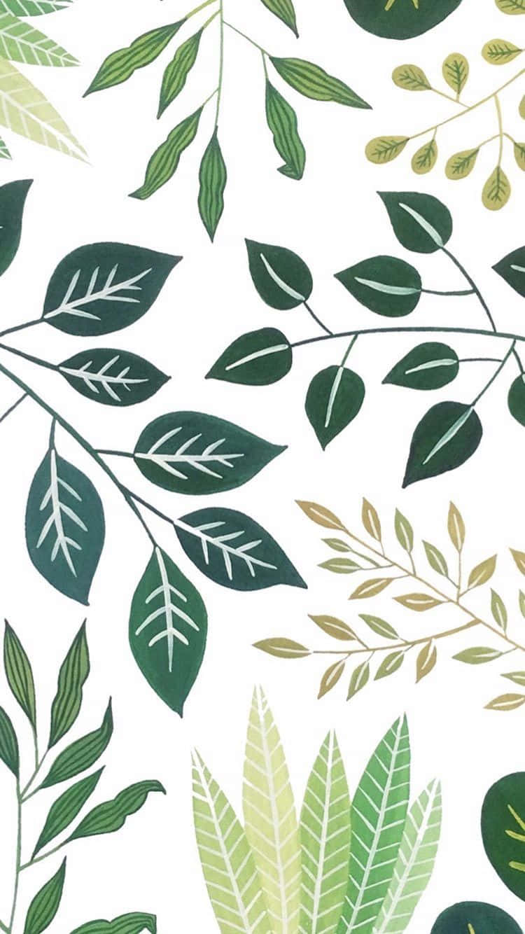 Digital Painting Of Different Leaves Of Plant Phone Background