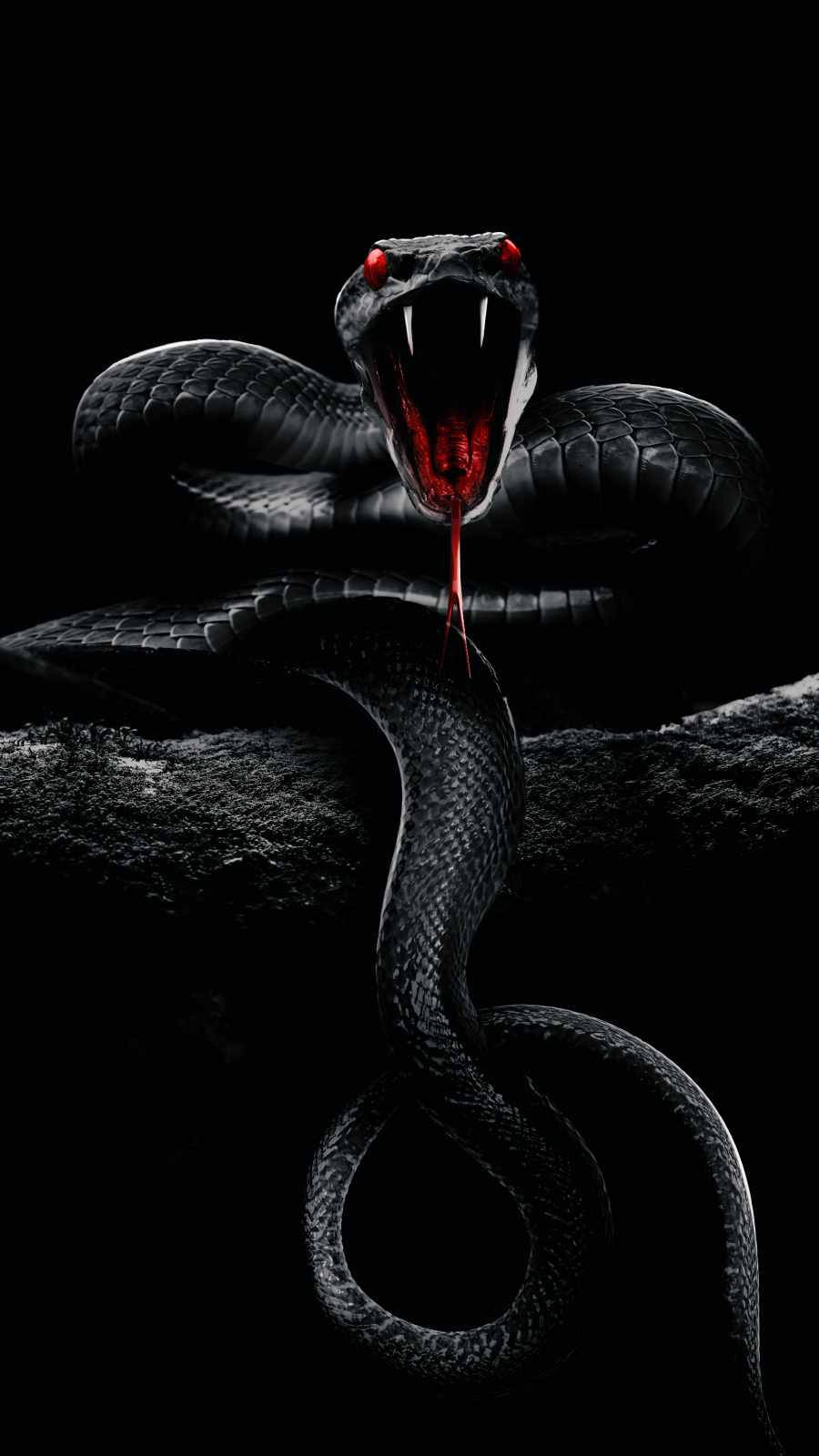 Digitally Enhanced Black Mamba Snake Background