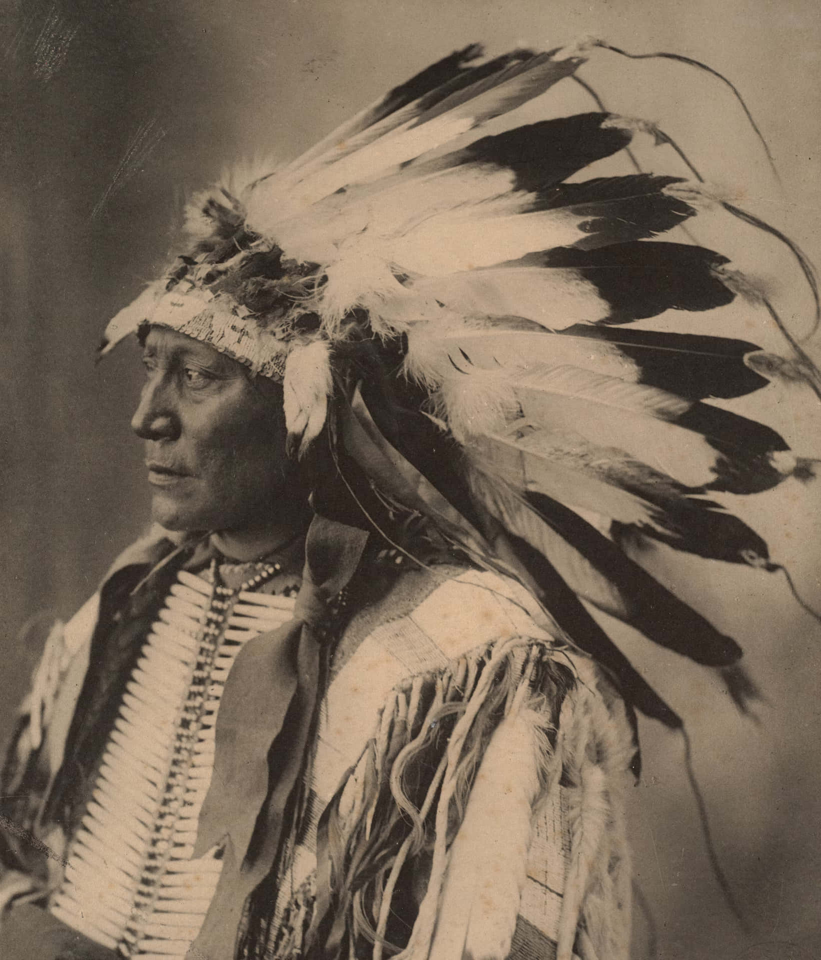 Dignified Native Chief Holding Eagle Horn