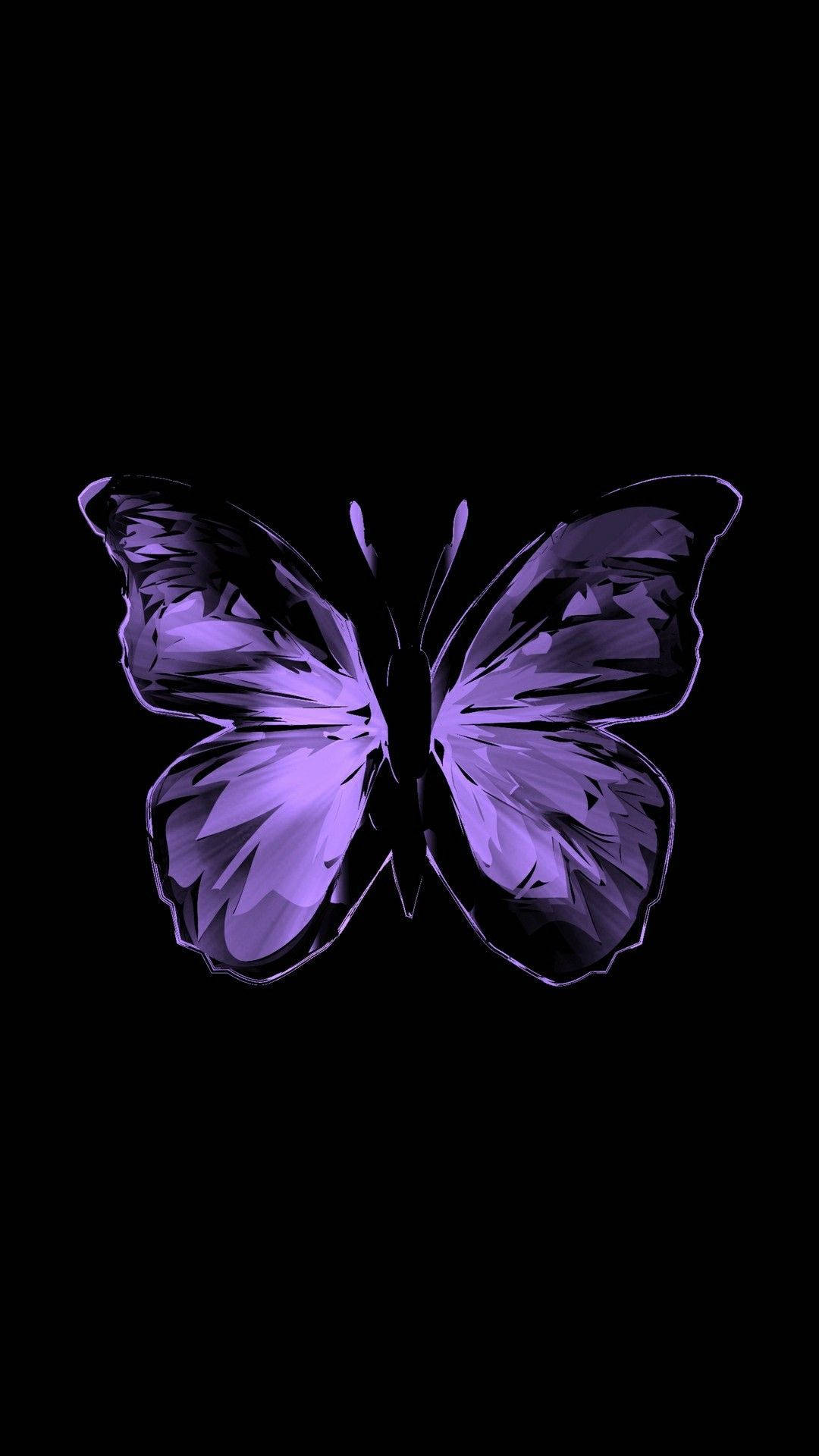 Dim Purple Butterfly Phone Background Background