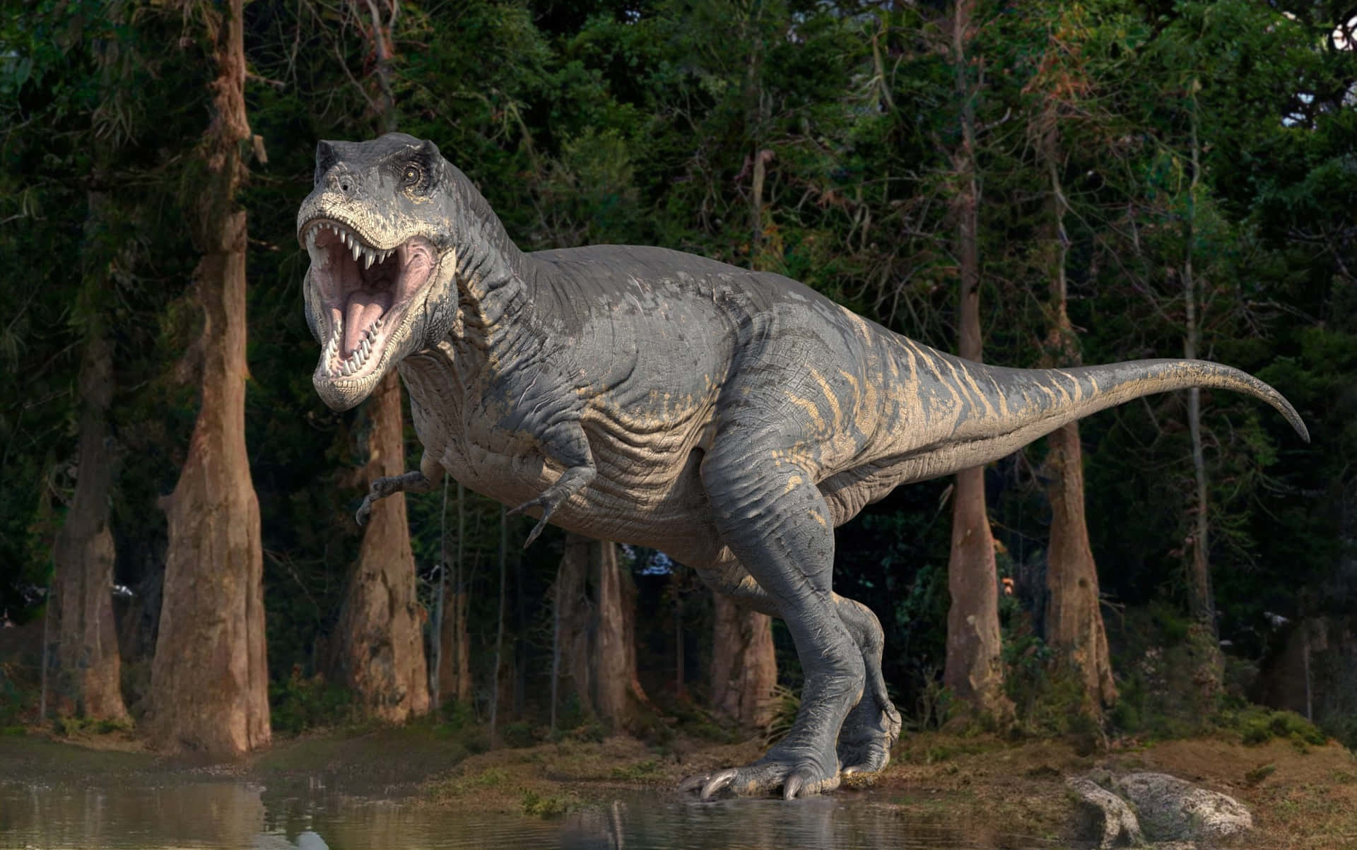 Diminutive Dinosaur Background