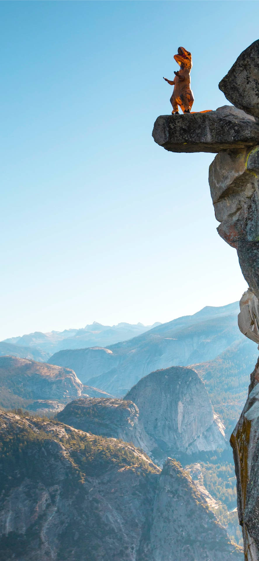 Dinosaur Climbing A Rock