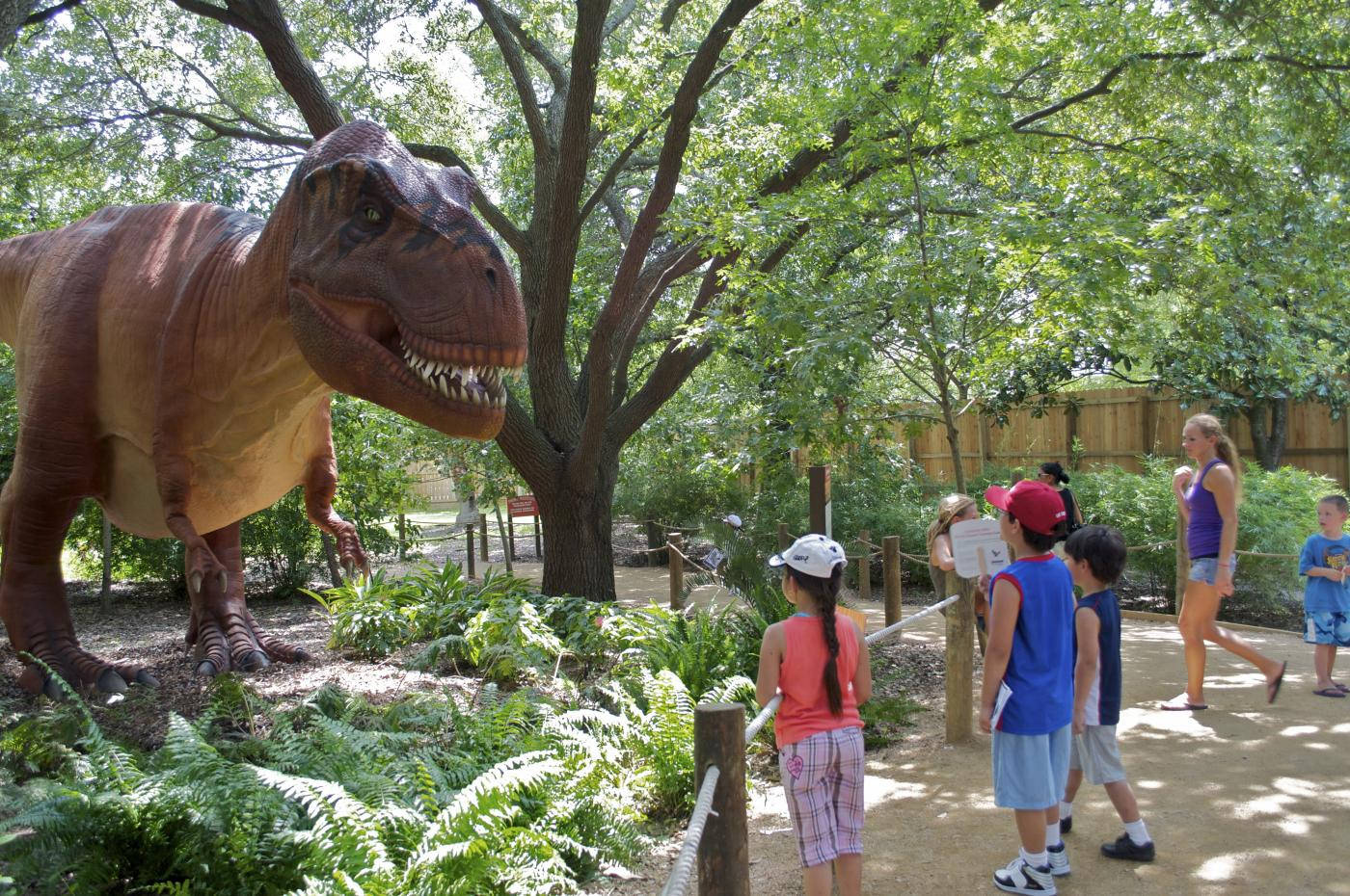 Dinosaur Exhibit At Smithsonian Zoo Background