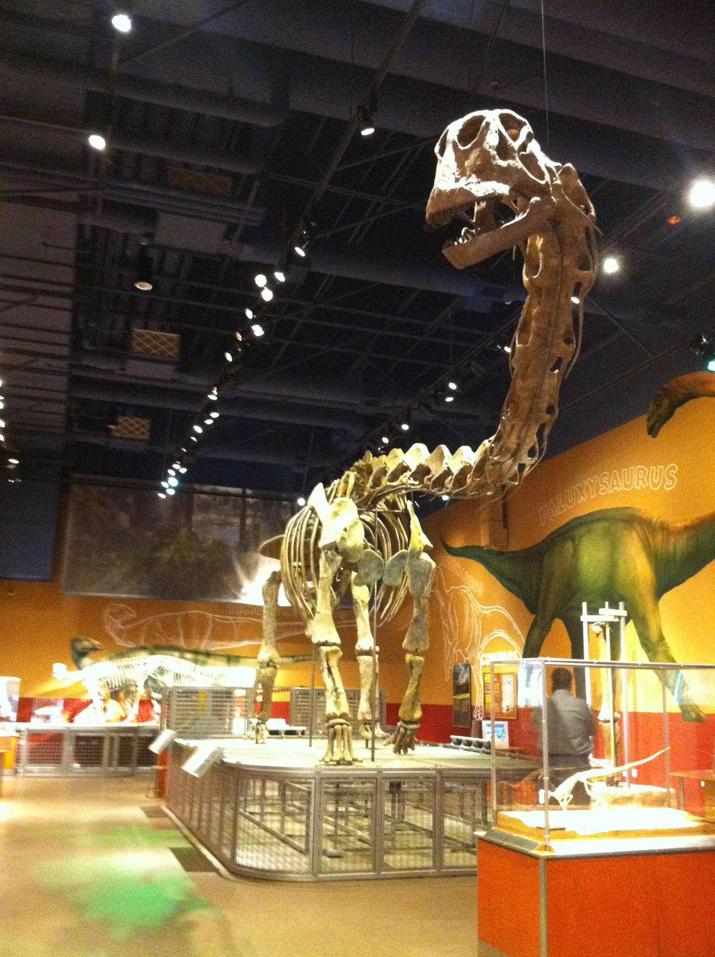 Dinosaur Figure Inside Fort Worth Museum Background
