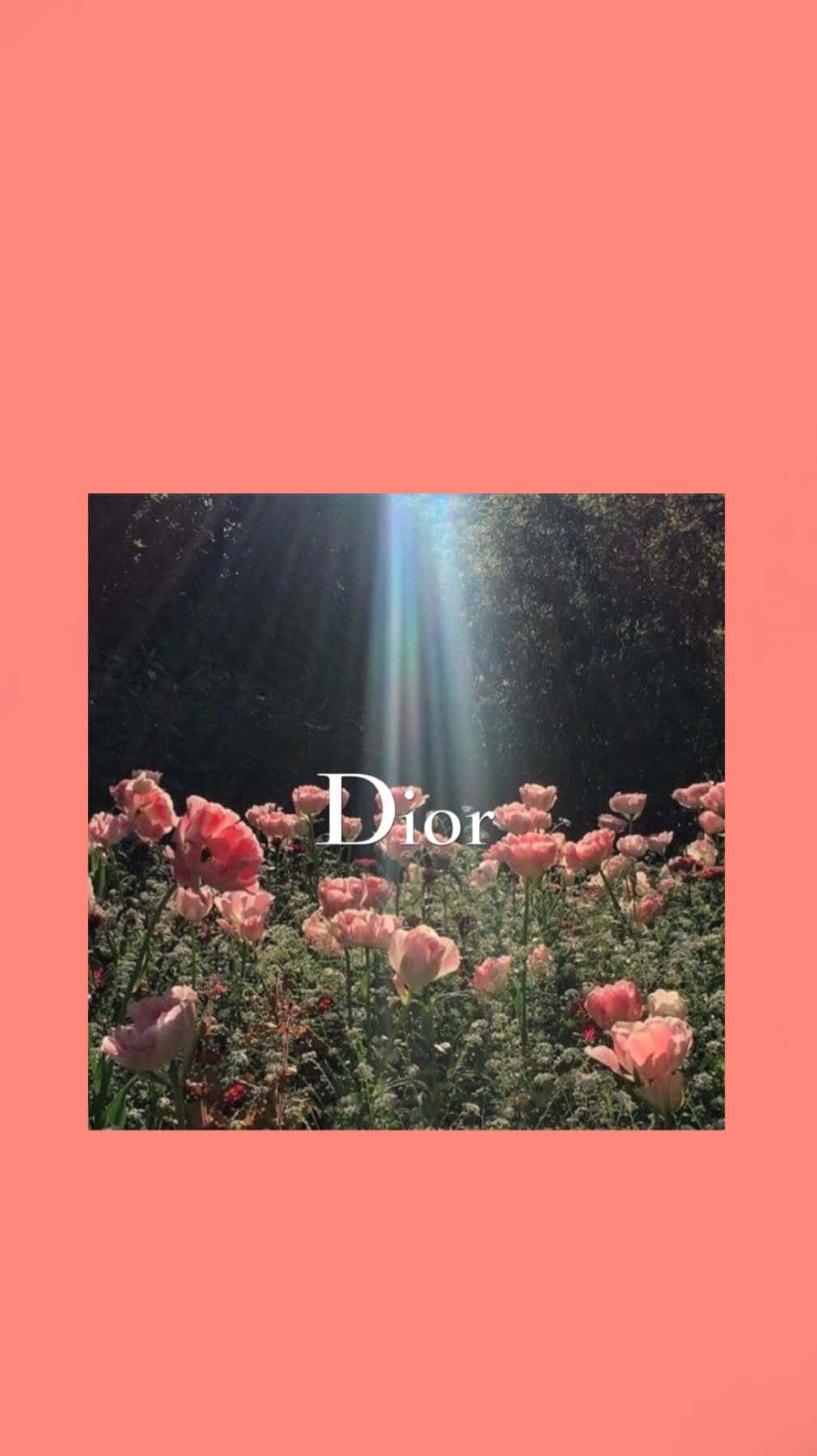 Dior - Ad - Ad - Ad - Ad - Ad - Ad Background